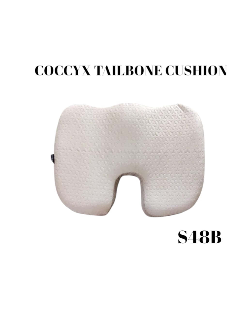 COCCYX TAILBONE